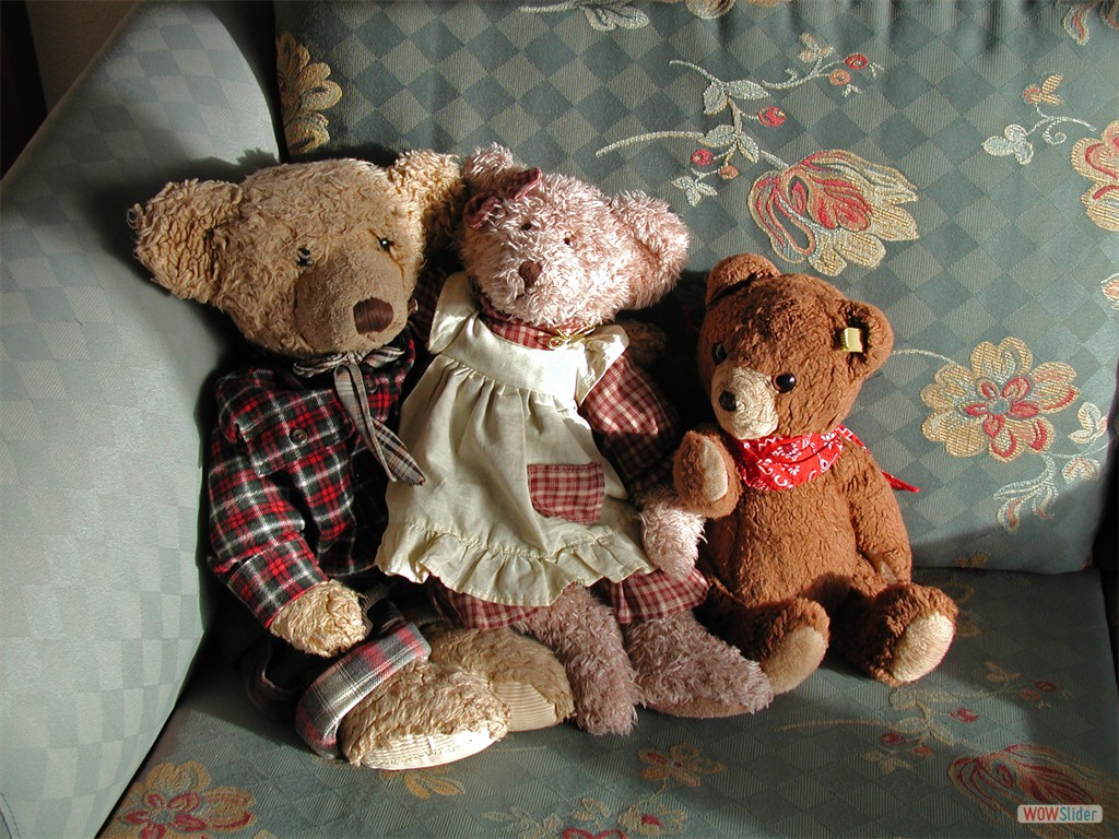 Kuscheln auf dem Sofa in Heide