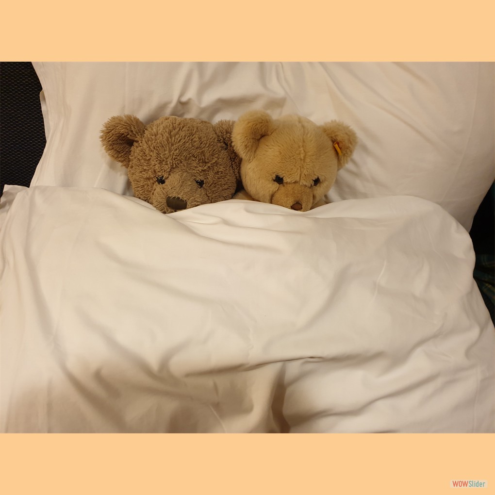 Wie ein altes Ehepaar: Bandito und Shelby schlafen nebeneinander ein ...