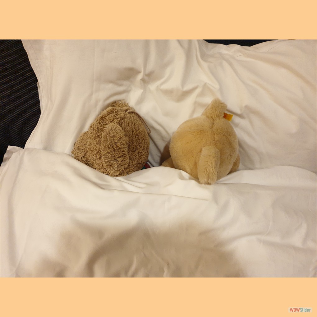 ... und drehen sich dann den Rücken zu!