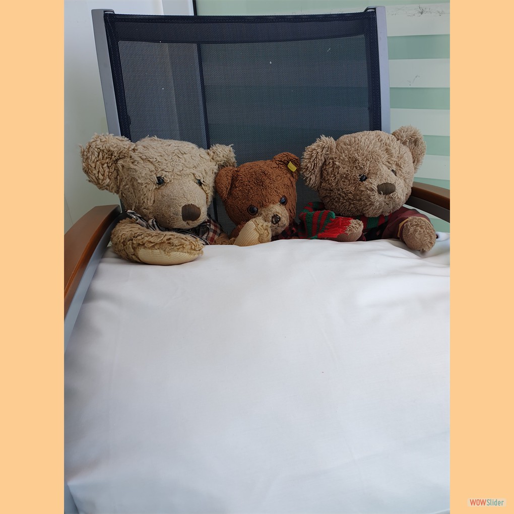 Sonnenanbeter, allerdings brauchen sie beim kühlen Wetter etwas zum Zudecken