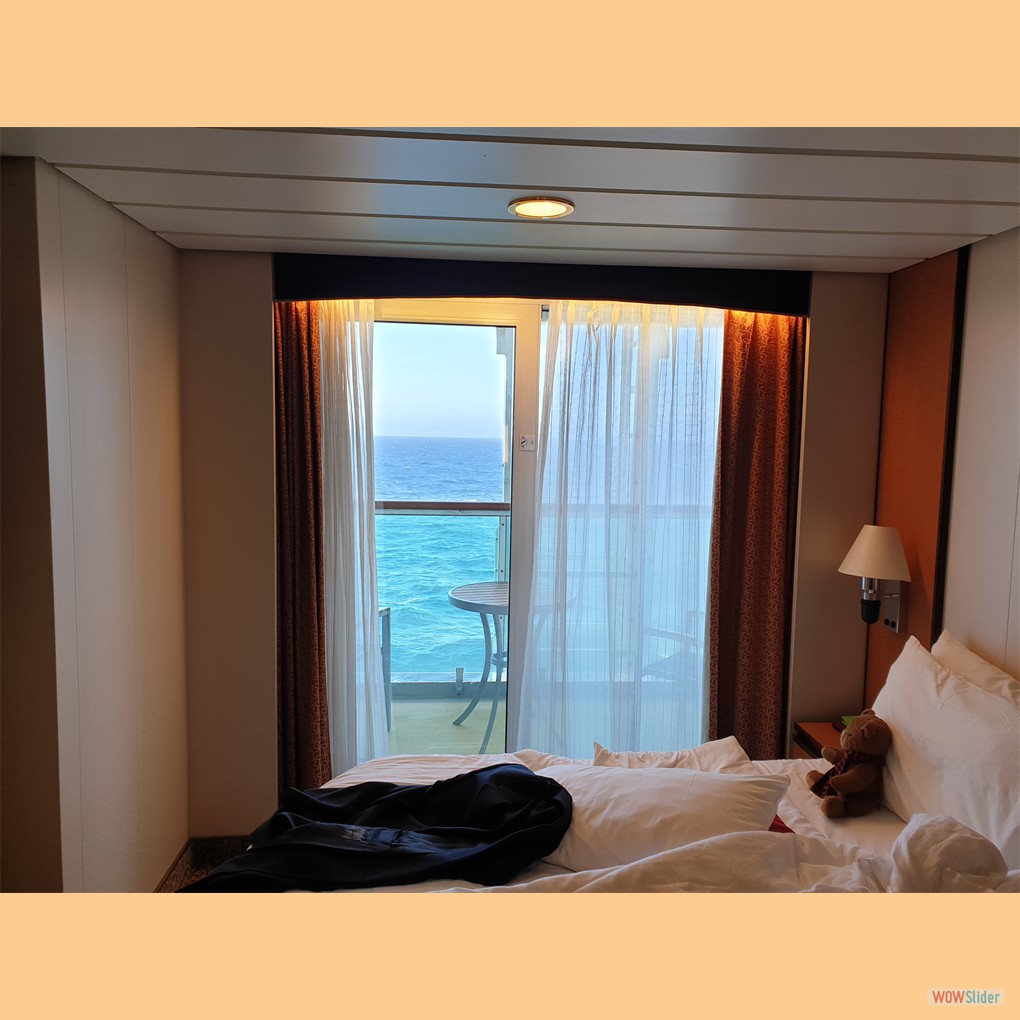 Petsy hält Mittagsschlaf in der Kabine