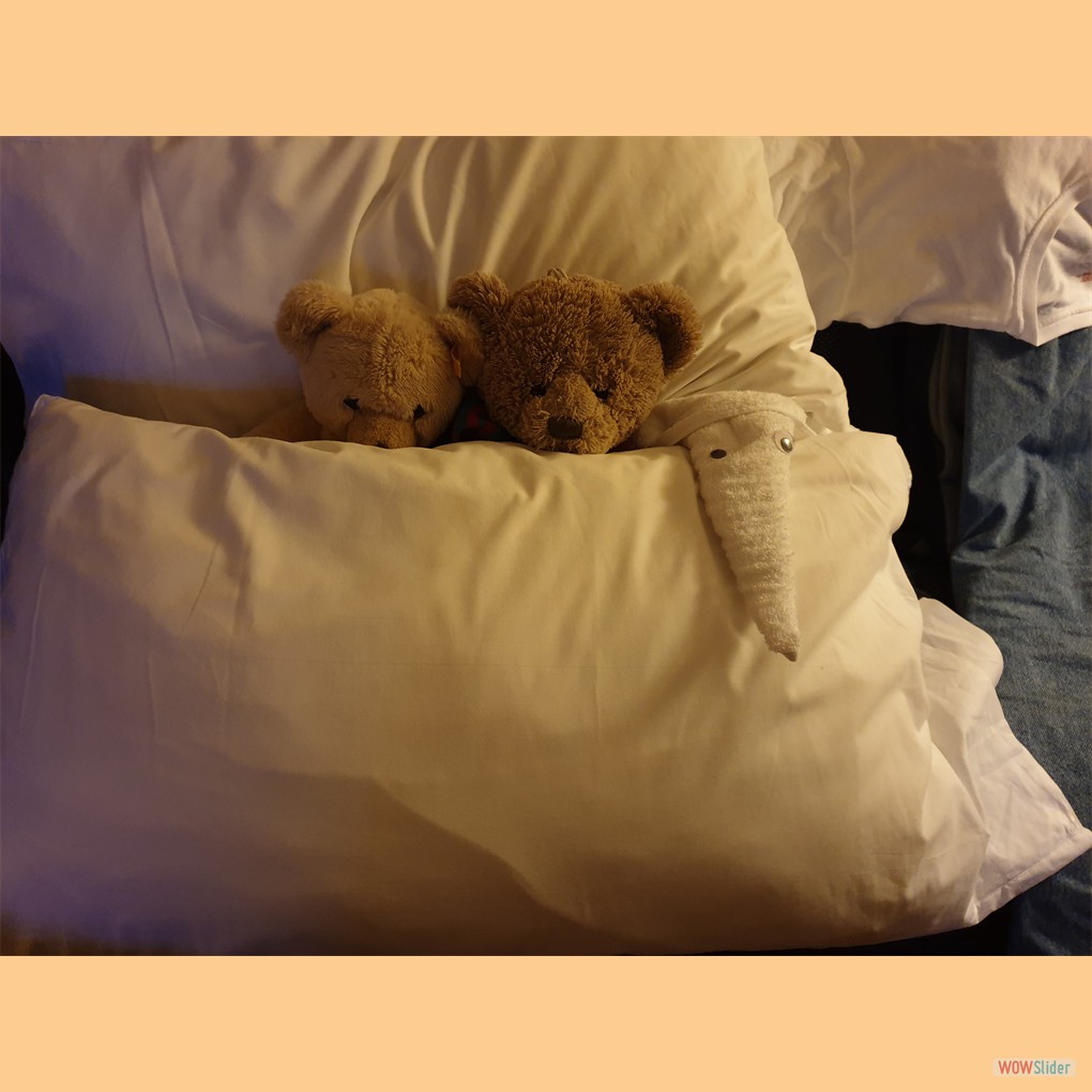 ... da hat sich doch ein Fremdling ins Bett geschlichen!