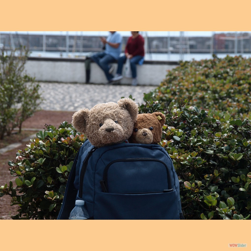 an der Uferpromenade