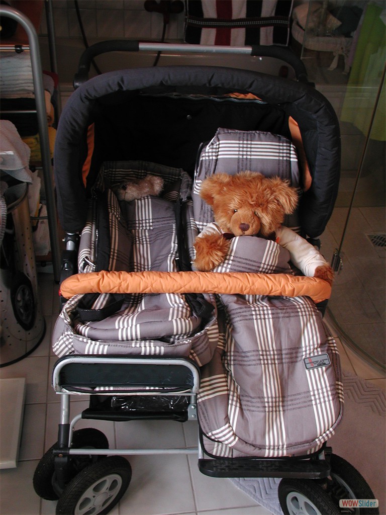 Baeren im Kinderwagen 2