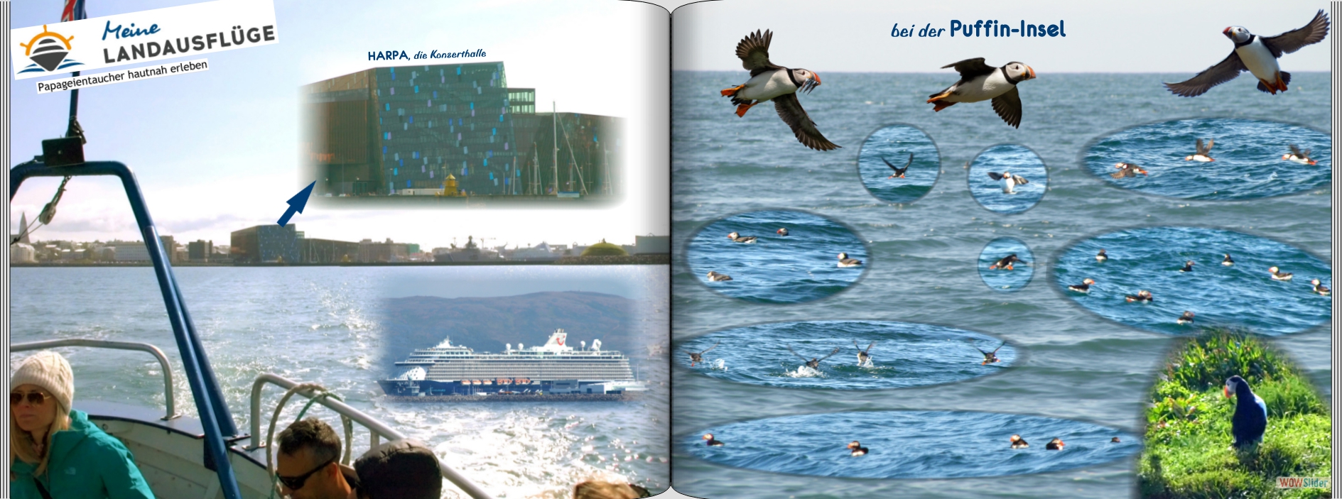 20190610-22_Mein_Schiff_3-017
