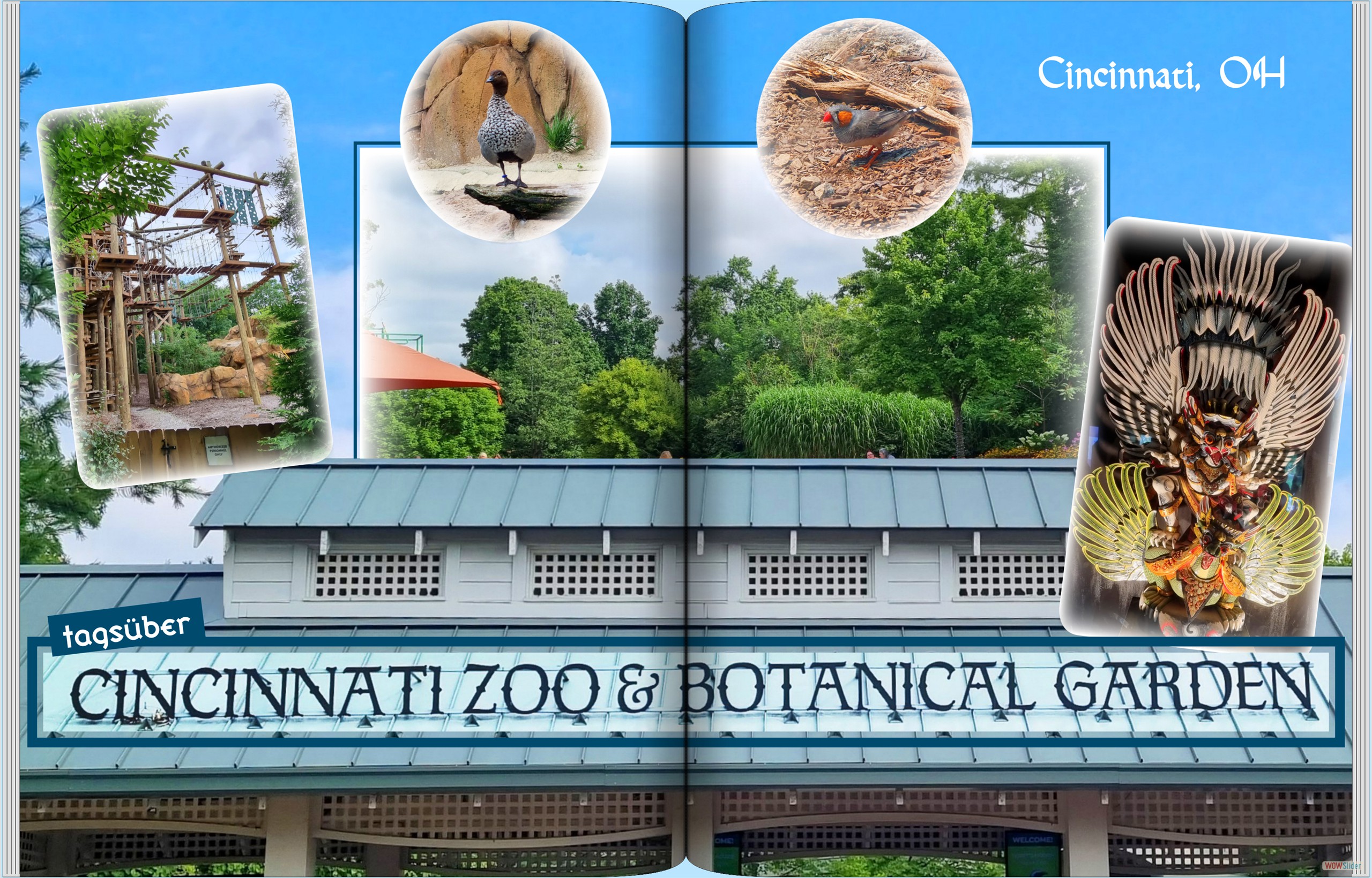 Roadtrip_Chicago_Zoo_001