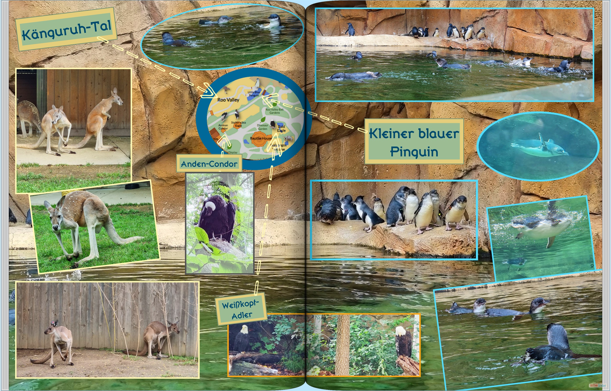 Roadtrip_Chicago_Zoo_003