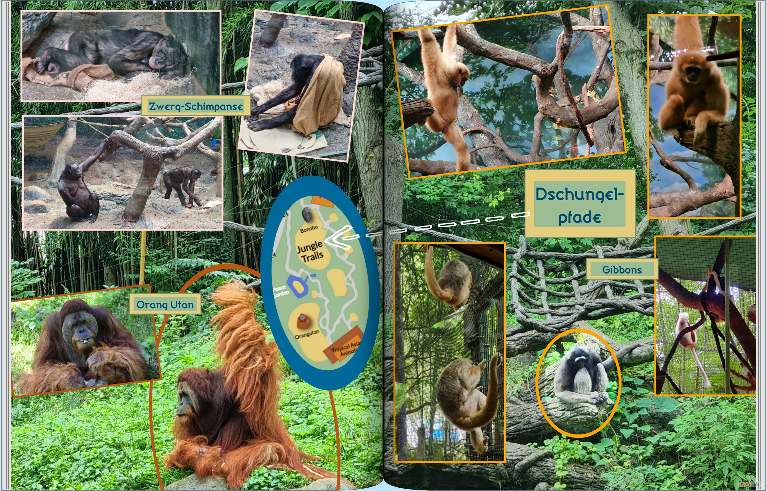Roadtrip_Chicago_Zoo_006